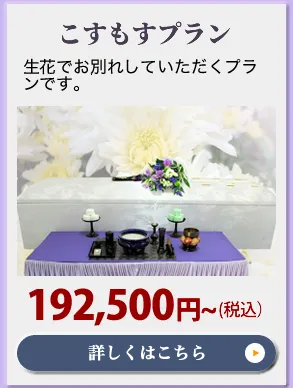 こすもすプラン