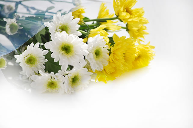 flower2