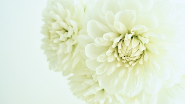 アイコン用画像