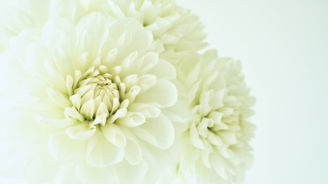 アイコン用画像