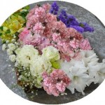 created by InCollage