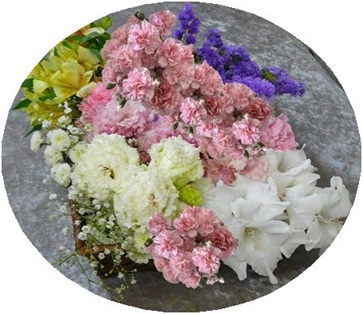 created by InCollage