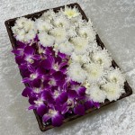 created by InCollage