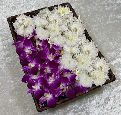 created by InCollage